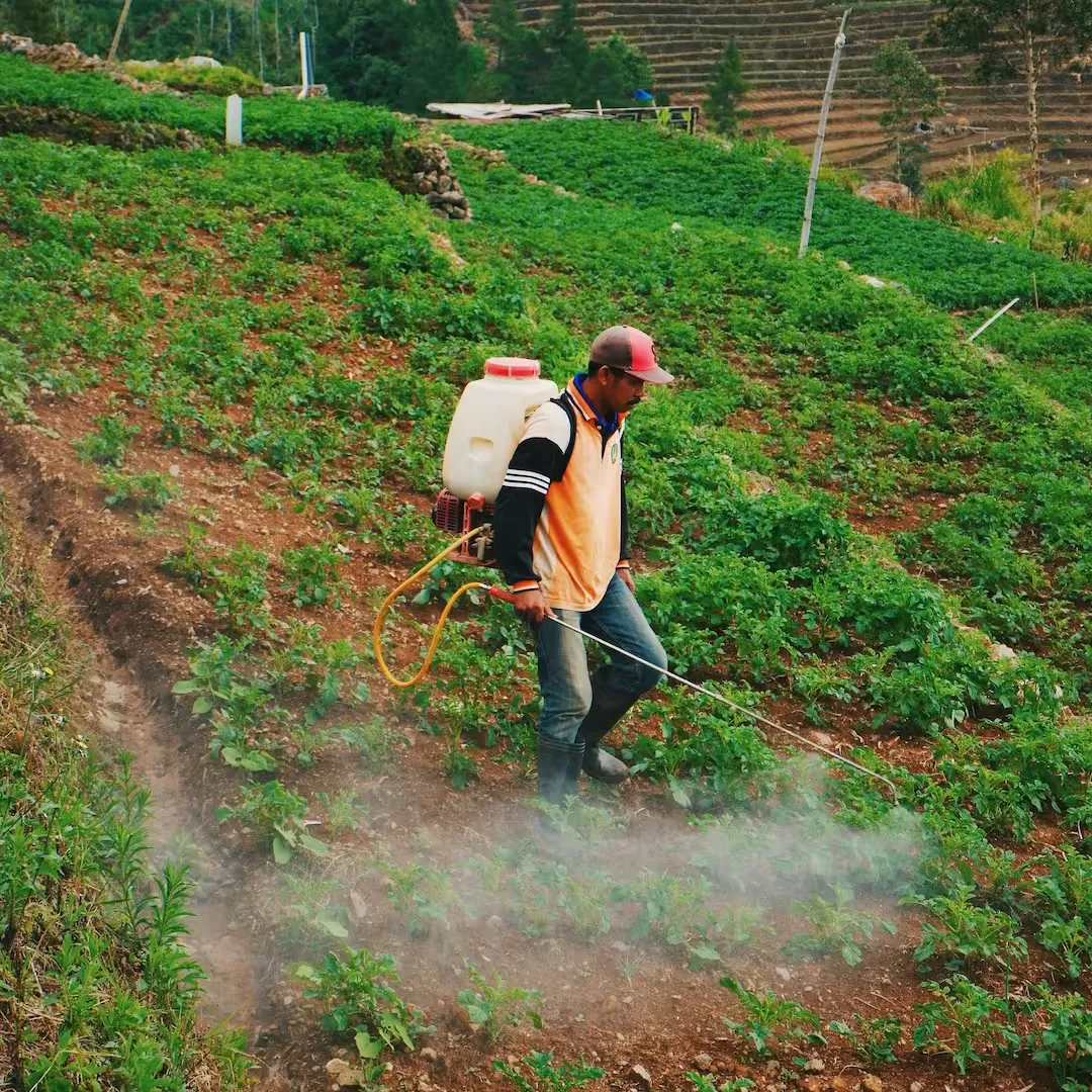 Insecticidas y productos para el control de plagas